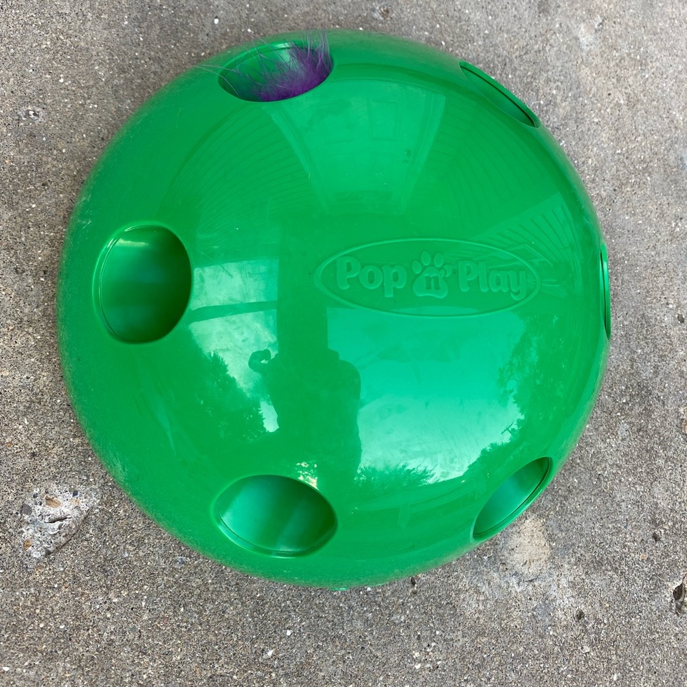 Pop and Play Cat Toy